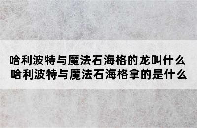 哈利波特与魔法石海格的龙叫什么 哈利波特与魔法石海格拿的是什么